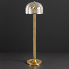 Clear Crackle Glass Dome Floor Lamp on a dark charcoal grey studio backdrop